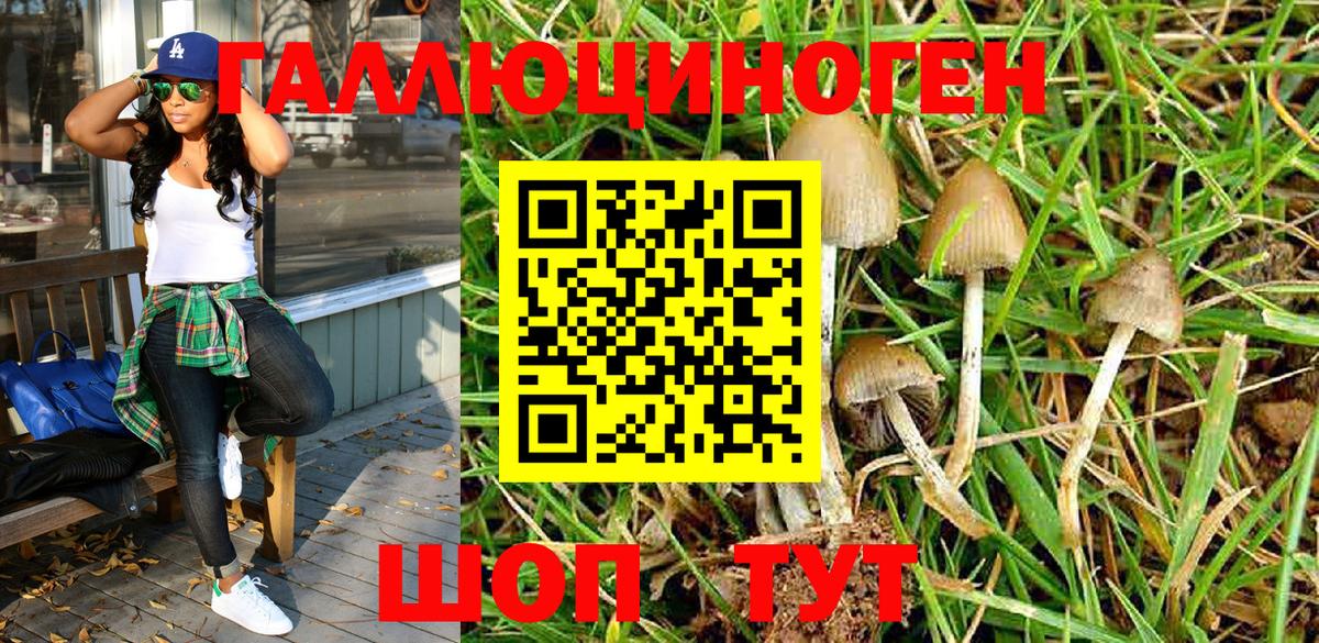 Краснознаменск  Псилоцибиновые грибы MAGIC MUSHROOMS  Вход с VPN 